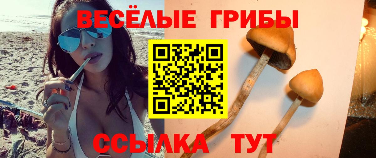 Псилоцибиновые грибы GOLDEN TEACHER Ангарск